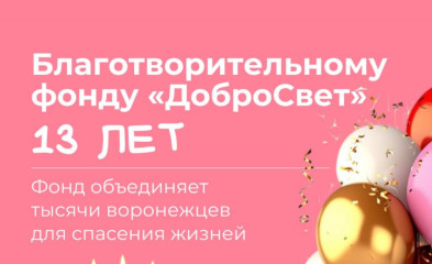 новость Благотворительному фонду «ДоброСвет» — 13 лет