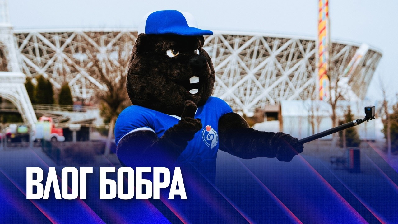 Влог Бобра | Выезд в Волгоград