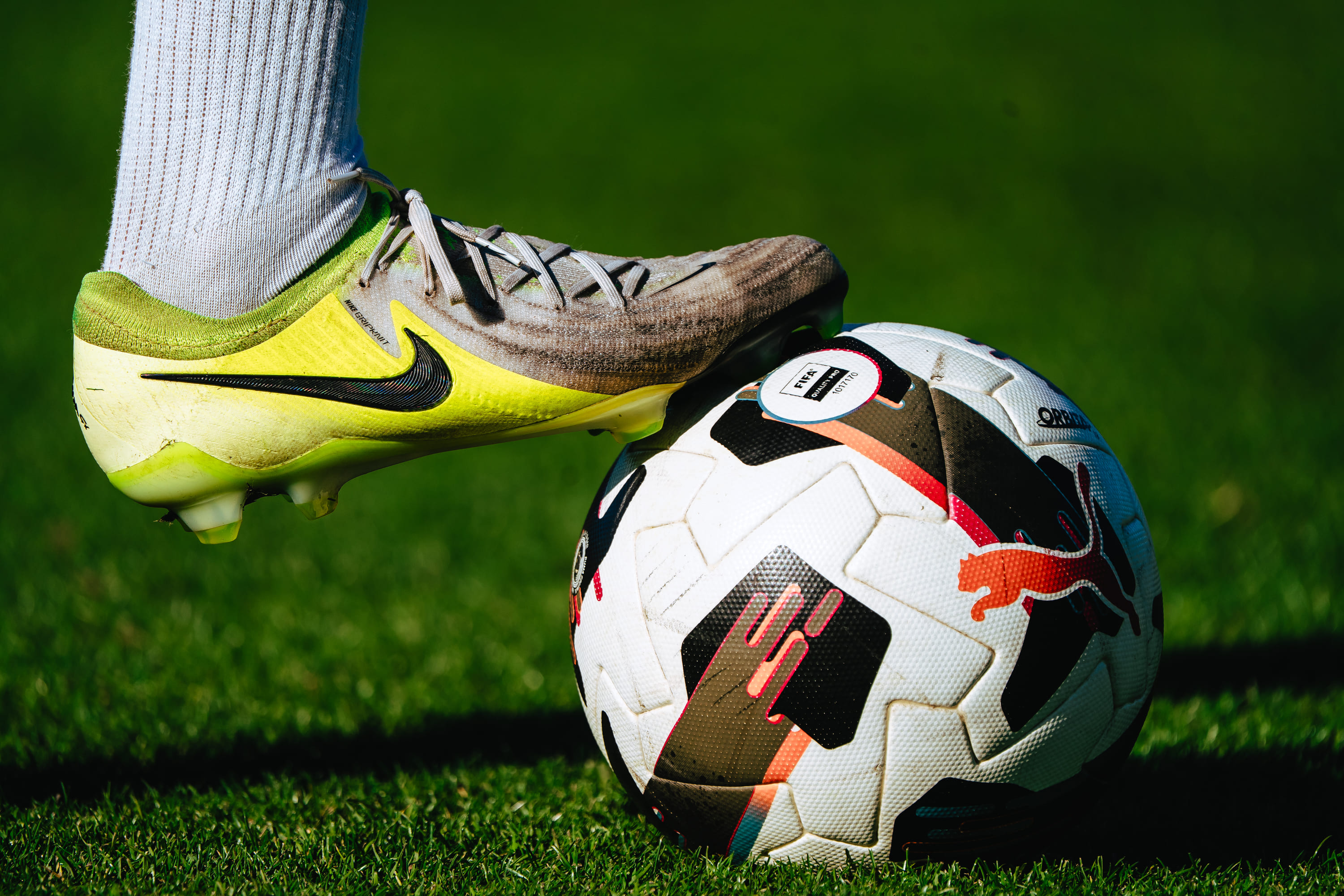 696e3f17966be_DSC06912_(1)_(1)