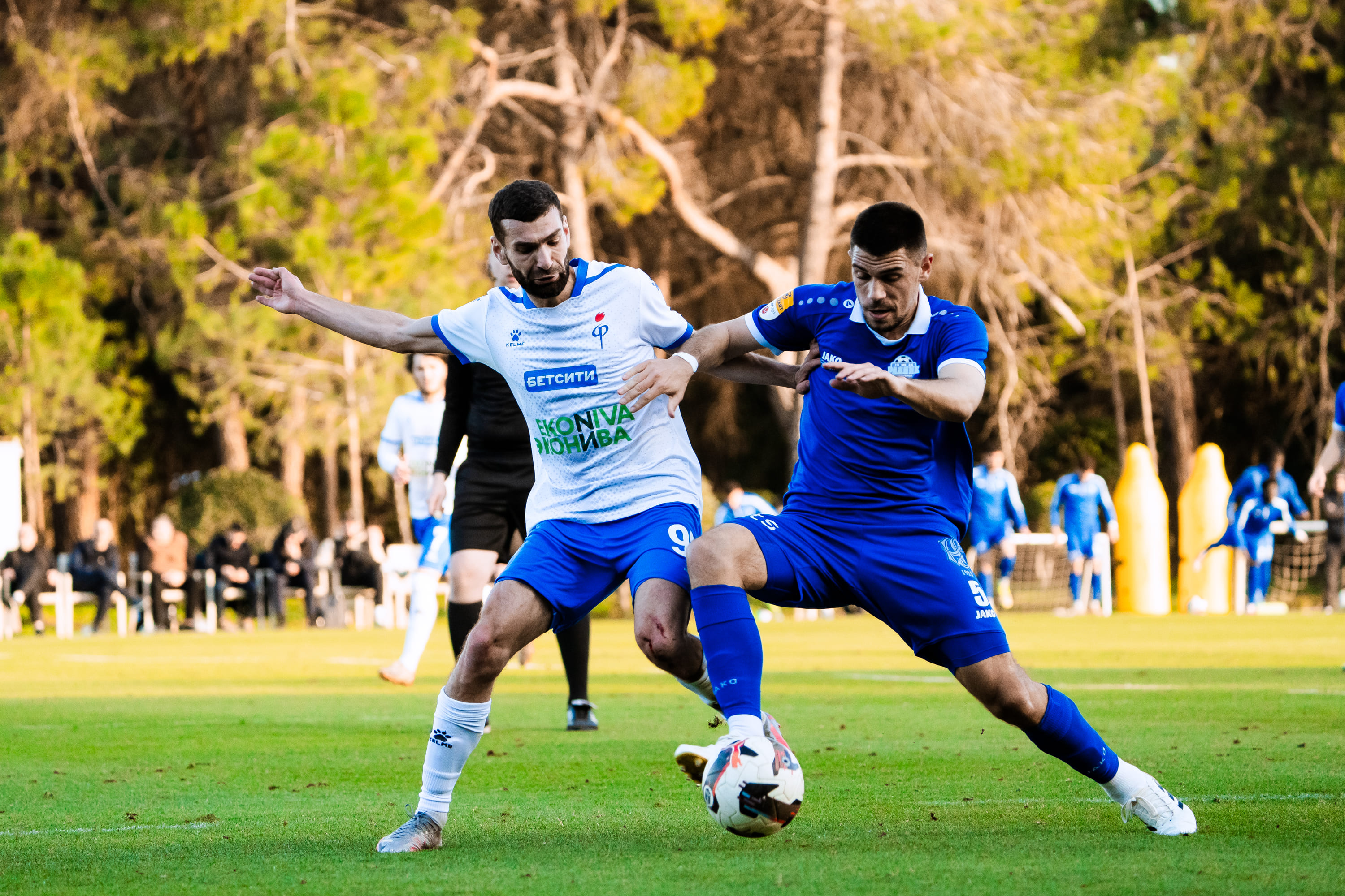 696fae8aa837c_DSC04113